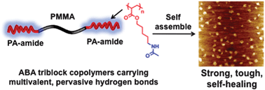 Graphical abstract: Multivalent hydrogen bonding block copolymers self-assemble into strong and tough self-healing materials