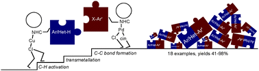 Graphical abstract: A cooperative Pd–Cu system for direct C–H bond arylation