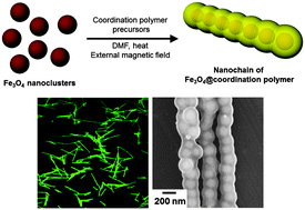 Graphical abstract: Self-assembly of fluorescent and magnetic Fe3O4@coordination polymer nanochains