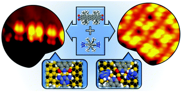 Graphical abstract: Bicomponent hydrogen-bonded nanostructures formed by two complementary molecular Landers on Au(111)