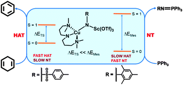 Graphical abstract: Evidence of two-state reactivity in alkane hydroxylation by Lewis-acid bound copper–nitrene complexes