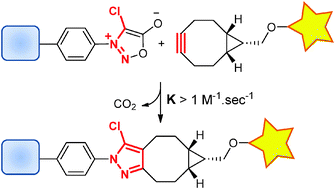 Graphical abstract: 4-Halogeno-sydnones for fast strain promoted cycloaddition with bicyclo-[6.1.0]-nonyne