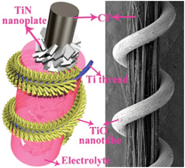 Graphical abstract: Porous, single crystalline titanium nitride nanoplates grown on carbon fibers: excellent counter electrodes for low-cost, high performance, fiber-shaped dye-sensitized solar cells