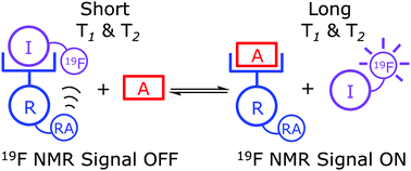 Graphical abstract: 19F NMR indicator displacement assay using a synthetic receptor with appended paramagnetic relaxation agent