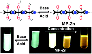 Graphical abstract: Concentration and acid–base controllable fluorescence of a metallosupramolecular polymer
