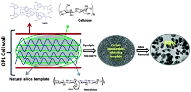 Graphical abstract: Catalyst free silica templated porous carbon nanoparticles from bio-waste materials