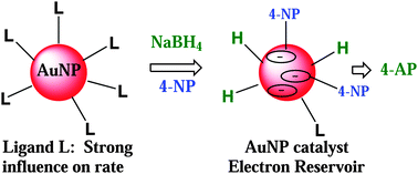 Graphical abstract: Gold nanoparticles as electron reservoir redox catalysts for 4-nitrophenol reduction: a strong stereoelectronic ligand influence