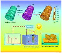 Graphical abstract: Silicon diatom frustules as nanostructured photoelectrodes