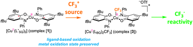 Graphical abstract: Iminosemiquinone radical ligands enable access to a well-defined redox-active CuII–CF3 complex
