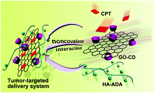 Graphical abstract: A small-sized graphene oxide supramolecular assembly for targeted delivery of camptothecin