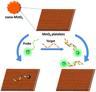 Graphical abstract: Nanometer-sized manganese oxide-quenched fluorescent oligonucleotides: an effective sensing platform for probing biomolecular interactions