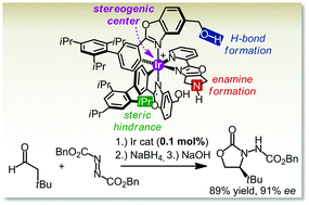 Graphical abstract: Metal-templated enantioselective enamine/H-bonding dual activation catalysis