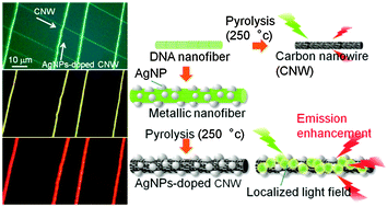 Graphical abstract: Fluorescent carbon nanowires made by pyrolysis of DNA nanofibers and plasmon-assisted emission enhancement of their fluorescence