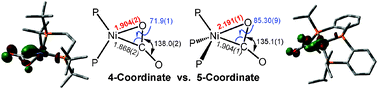 Graphical abstract: Formation of a nickel carbon dioxide adduct and its transformation mediated by a Lewis acid