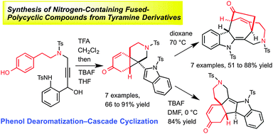 Graphical abstract: Synthesis of nitrogen-containing fused-polycyclic compounds from tyramine derivatives using phenol dearomatization and cascade cyclization