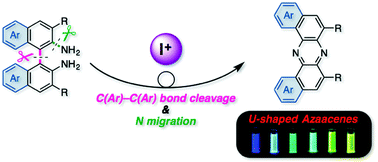 Graphical abstract: Oxidative skeletal rearrangement of 1,1′-binaphthalene-2,2′-diamines (BINAMs) via C–C bond cleavage and nitrogen migration: a versatile synthesis of U-shaped azaacenes