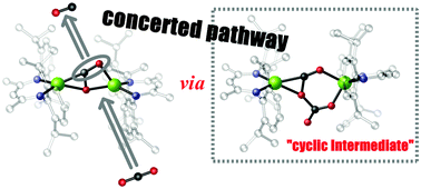 Graphical abstract: On the mechanism of the reaction of a magnesium(i) complex with CO2: a concerted type of pathway