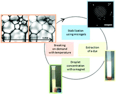Graphical abstract: Multi-responsive ionic liquid emulsions stabilized by microgels