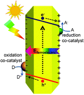 Graphical abstract: Selective deposition of redox co-catalyst(s) to improve the photocatalytic activity of single-domain ferroelectric PbTiO3 nanoplates