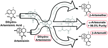 Graphical abstract: Continuous synthesis of artemisinin-derived medicines