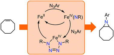 Graphical abstract: Probing the role of an FeIV tetrazene in catalytic aziridination