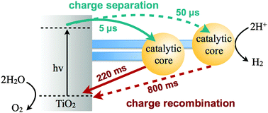 Graphical abstract: Distance dependent charge separation and recombination in semiconductor/molecular catalyst systems for water splitting