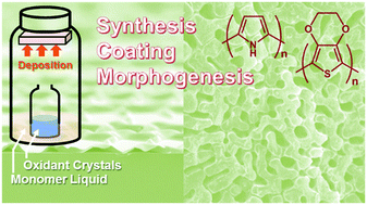 Graphical abstract: Solvent-free synthesis, coating and morphogenesis of conductive polymer materials through spontaneous generation of activated monomers