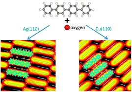 Graphical abstract: Oxygen-induced self-assembly of quaterphenyl molecules on metal surfaces