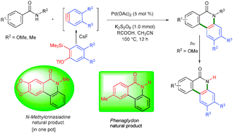 Graphical abstract: Palladium-catalyzed cyclization of benzamides with arynes: application to the synthesis of phenaglydon and N-methylcrinasiadine
