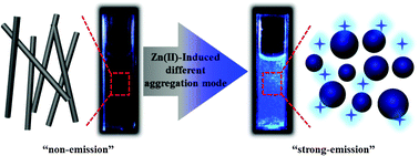 Graphical abstract: A turn-on fluorogenic Zn(ii) chemoprobe based on a terpyridine derivative with aggregation-induced emission (AIE) effects through nanofiber aggregation into spherical aggregates