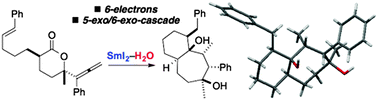 Graphical abstract: SmI2–H2O-mediated 5-exo/6-exo lactone radical cyclisation cascades
