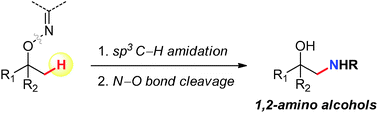 Graphical abstract: Synthesis of 1,2-amino alcohols via catalytic C–H amidation of sp3 methyl C–H bonds