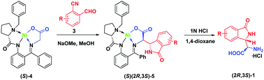Graphical abstract: Asymmetric synthesis of α-(1-oxoisoindolin-3-yl)glycine: synthetic and mechanistic challenges