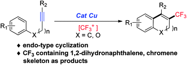 Graphical abstract: Copper-catalyzed endo-type trifluoromethylarylation of alkynes