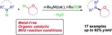 Graphical abstract: Organocatalytic amination of alkyl ethers via n-Bu4NI/t-BuOOH-mediated intermolecular oxidative C(sp3)–N bond formation: novel synthesis of hemiaminal ethers