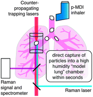 Graphical abstract: Rapid interrogation of the physical and chemical characteristics of salbutamol sulphate aerosol from a pressurised metered-dose inhaler (pMDI)