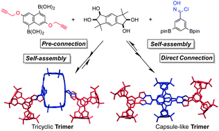Graphical abstract: Procedure-dependent construction of two isomers of trimeric self-assembled boronic esters