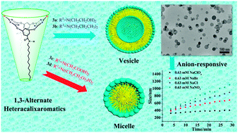 Graphical abstract: Regulated assemblies and anion responsive vesicles based on 1,3-alternate oxacalix[2]arene[2]triazene amphiphiles