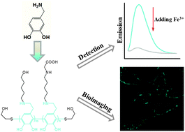 Graphical abstract: Highly emissive and biocompatible dopamine-derived oligomers as fluorescent probes for chemical detection and targeted bioimaging