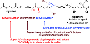 Graphical abstract: Studies towards the synthesis of halomon: asymmetric hexafunctionalisation of myrcene