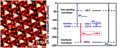 Graphical abstract: Thermodynamics of halogen bonded monolayer self-assembly at the liquid–solid interface