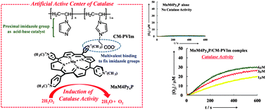 Graphical abstract: A bioinspired polymer-bound Mn-porphyrin as an artificial active center of catalase