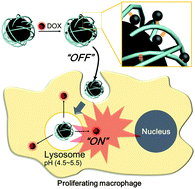 Graphical abstract: Hyaluronic acid–polypyrrole nanoparticles as pH-responsive theranostics