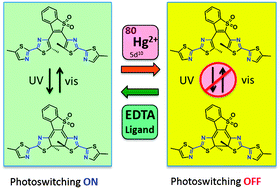 Graphical abstract: Reversible photoswitching specifically responds to mercury(ii) ions: the gated photochromism of bis(dithiazole)ethene