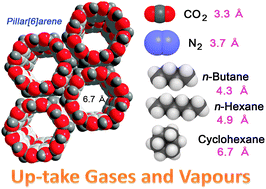Graphical abstract: One-dimensional channels constructed from per-hydroxylated pillar[6]arene molecules for gas and vapour adsorption
