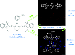 Graphical abstract: Screening and investigation of a cyanine fluorescent probe for simultaneous sensing of glutathione and cysteine under single excitation