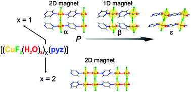 Graphical abstract: New magnetic frameworks of [(CuF2(H2O)2)x(pyz)]