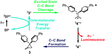 Graphical abstract: The “excited state C–C bond cleavage–luminescence” phenomenon of a biphenyl-substituted methylenecyclopropane triggered by intermolecular energy transfer from triplet benzophenone