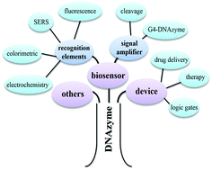 Graphical abstract: DNAzyme-based biosensors and nanodevices