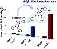 Graphical abstract: Bioluminescent coelenterazine derivatives with imidazopyrazinone C-6 extended substitution